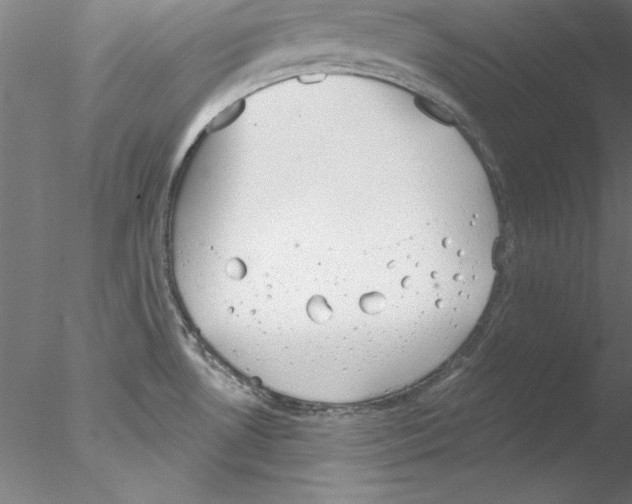 X0000076421530200611031800