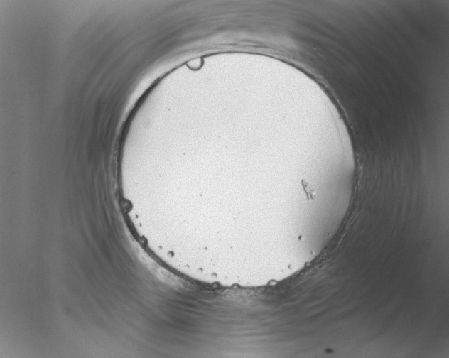 X0000076421531200611031800