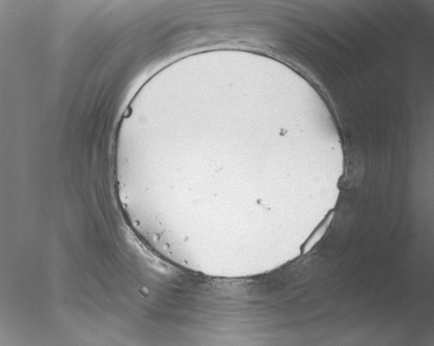 X0000076421532200611031800