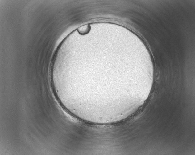 X0000076421533200611031800