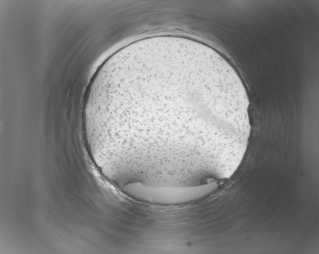 X0000076421534200611031800