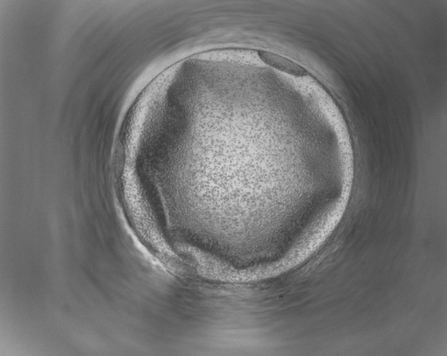 X0000076421536200611031800