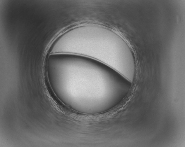 X0000076430007200610061011