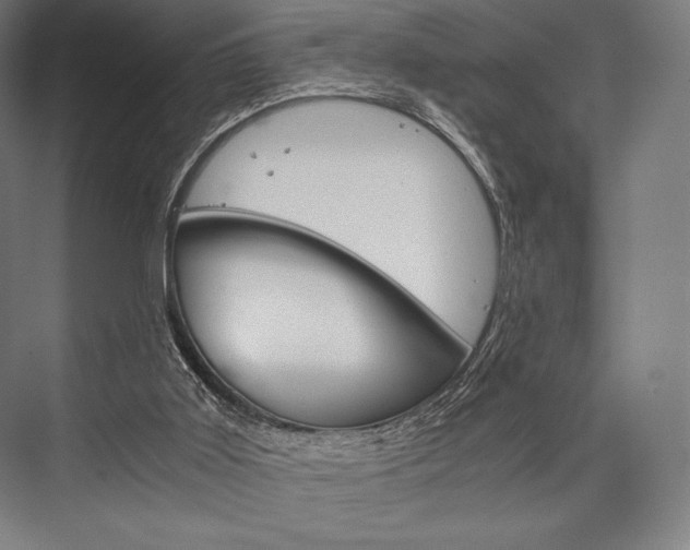 X0000076430011200610061011