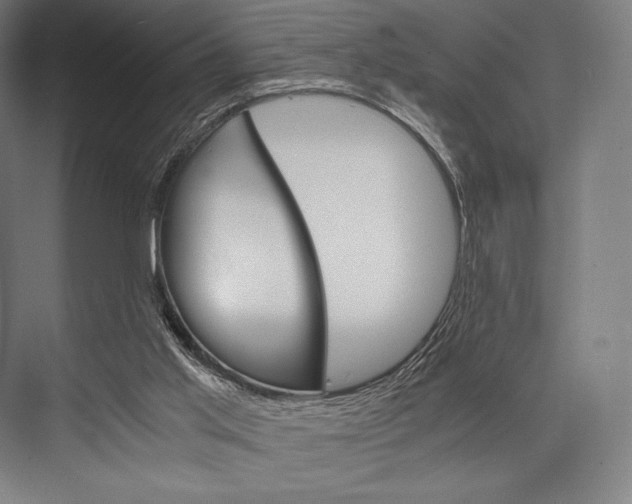 X0000076430013200610061011