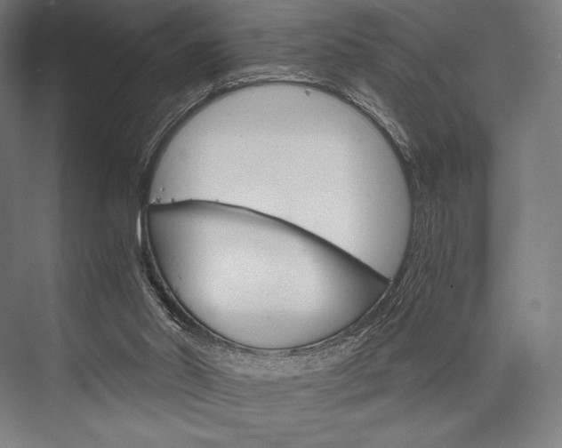 X0000076430014200610061011
