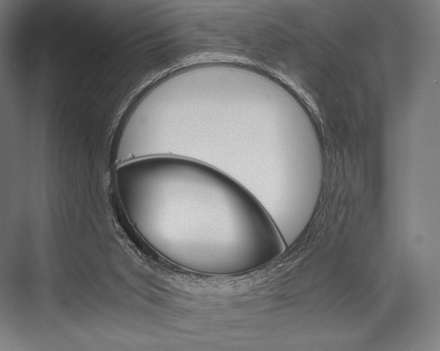 X0000076430015200610061011