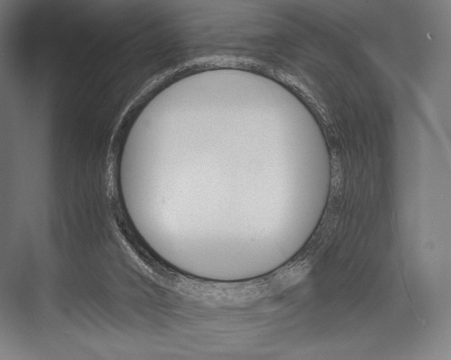 X0000076430016200610061011