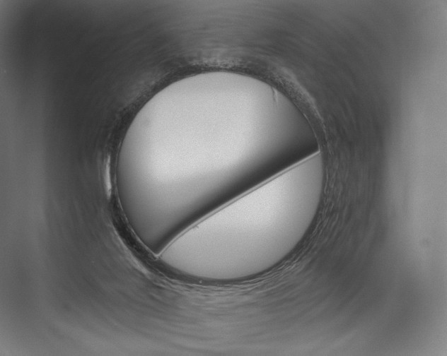 X0000076430020200610061011