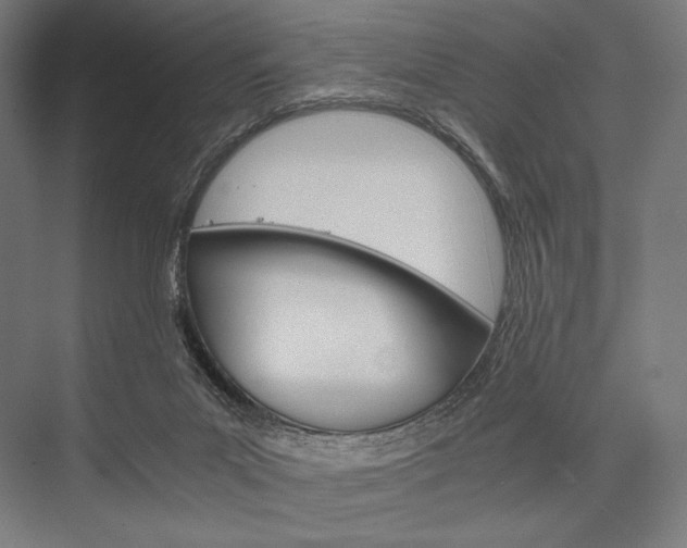 X0000076430023200610061011
