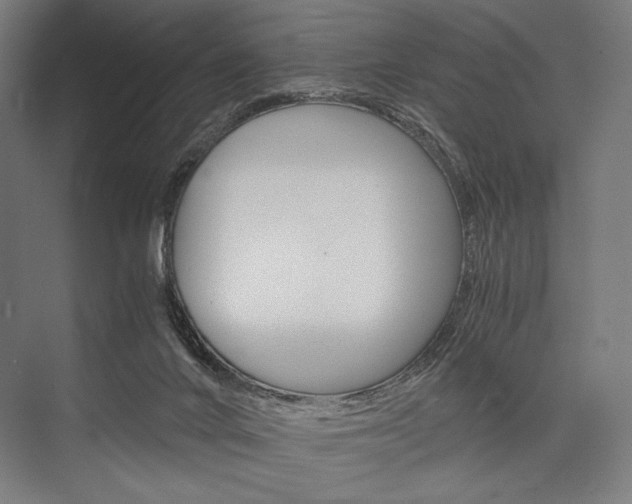 X0000076430024200610061011