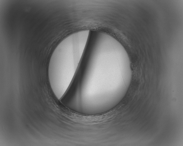 X0000076430027200610061011