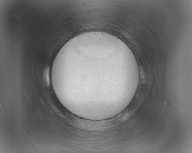 X0000076430028200610061011