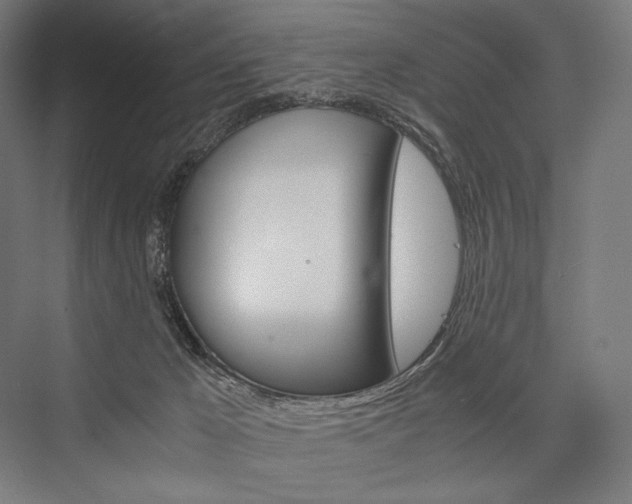 X0000076430029200610061011