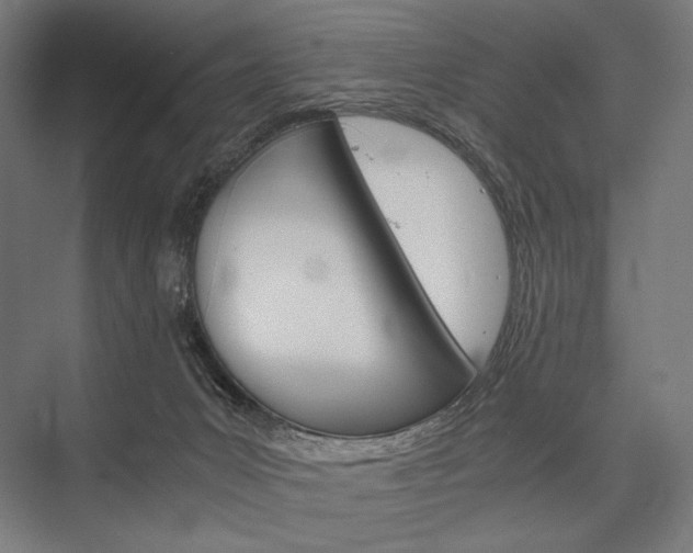 X0000076430031200610061011