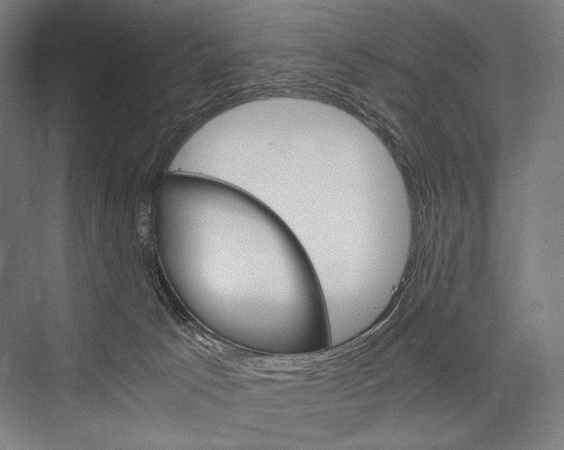 X0000076430033200610061011