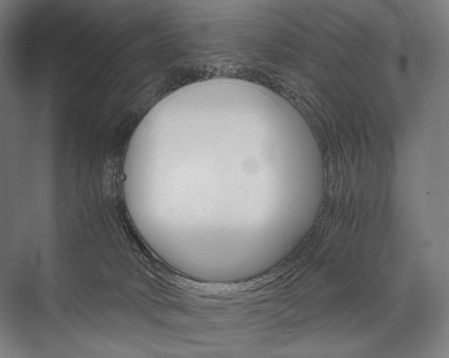 X0000076430034200610061011