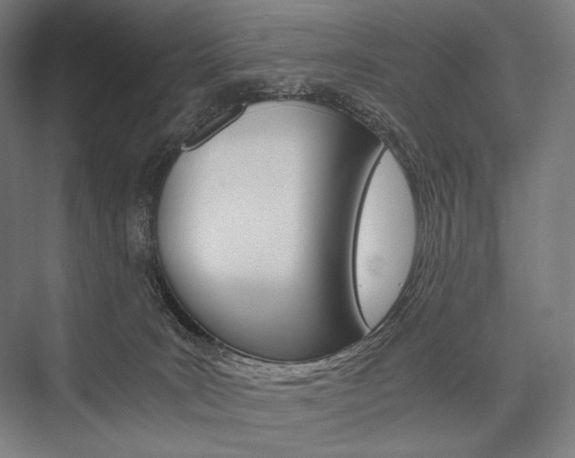 X0000076430035200610061011