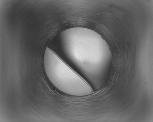 X0000076430040200610061011