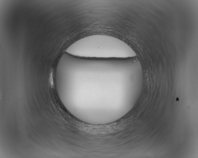 X0000076430042200610061011