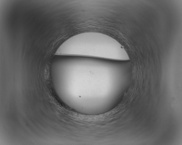 X0000076430043200610061011