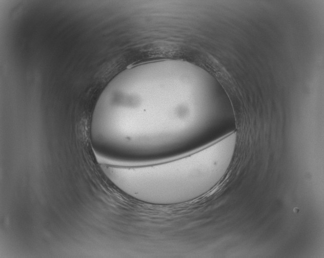 X0000076430045200610061010