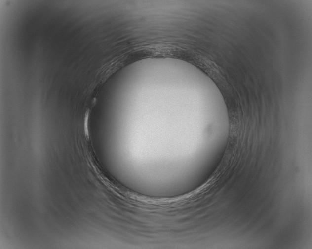 X0000076430047200610061010