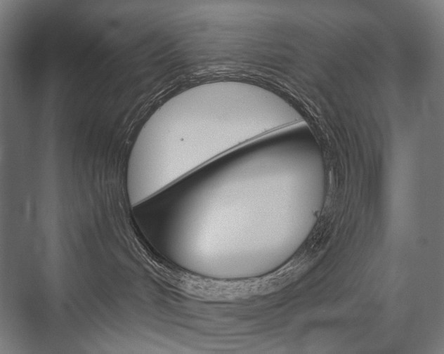 X0000076430048200610061010