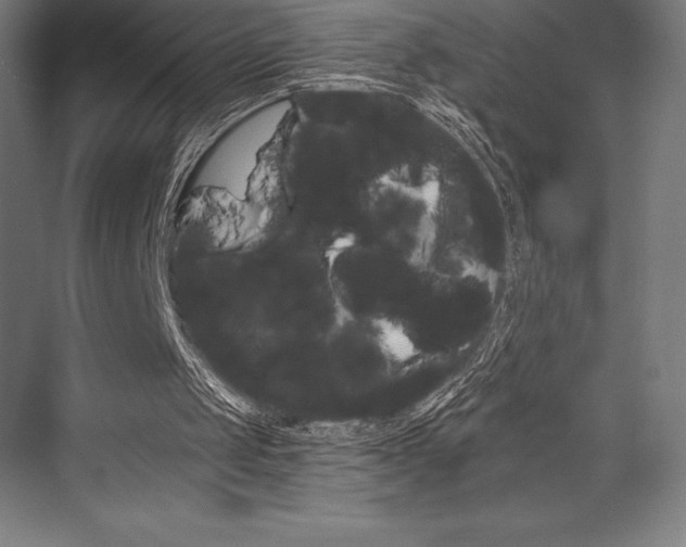 X0000076430049200610061010