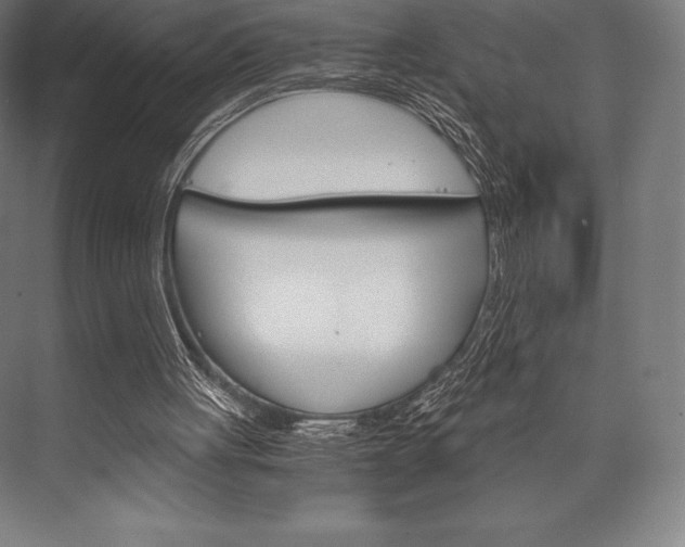 X0000076430051200610061010