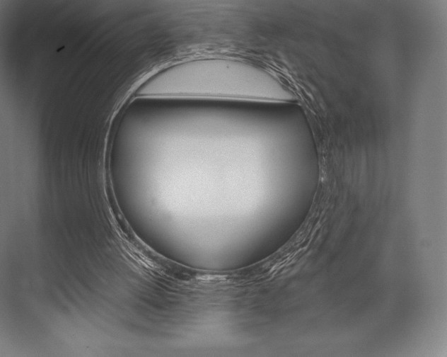 X0000076430052200610061010