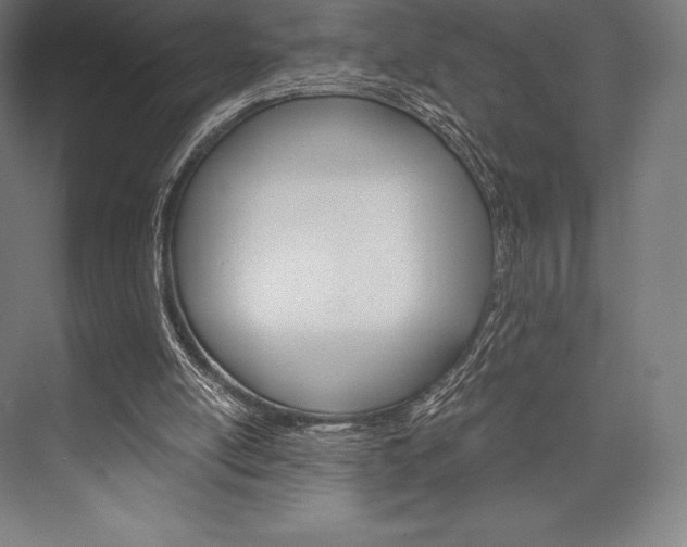 X0000076430054200610061010