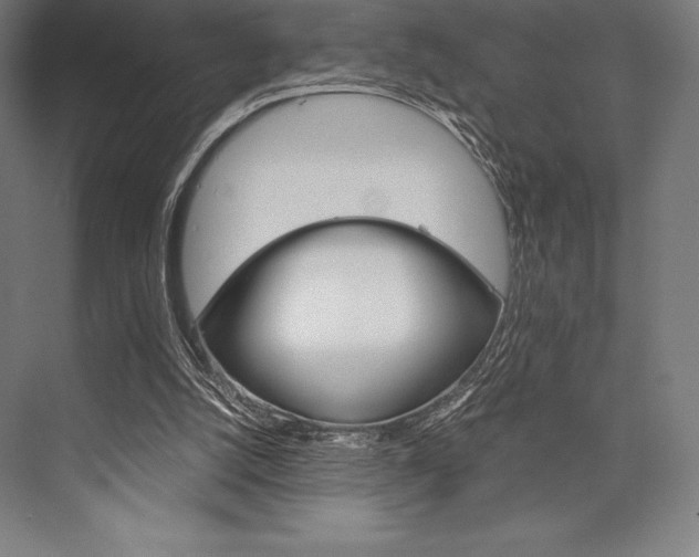 X0000076430056200610061010