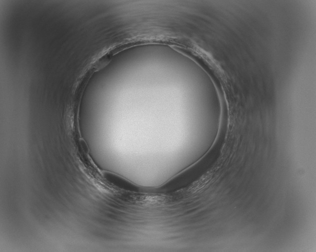 X0000076430060200610061010