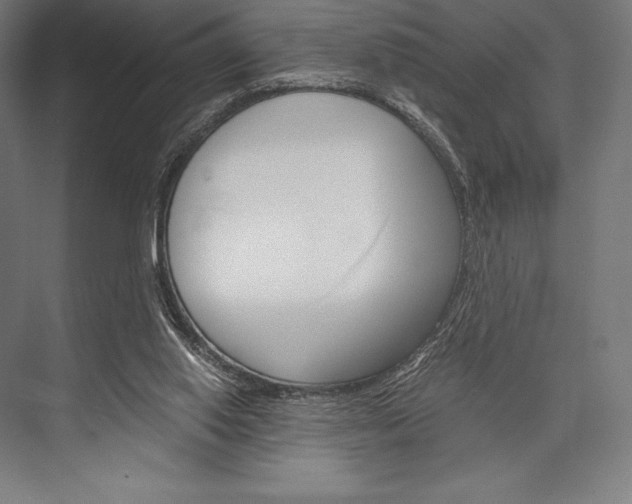 X0000076430062200610061010