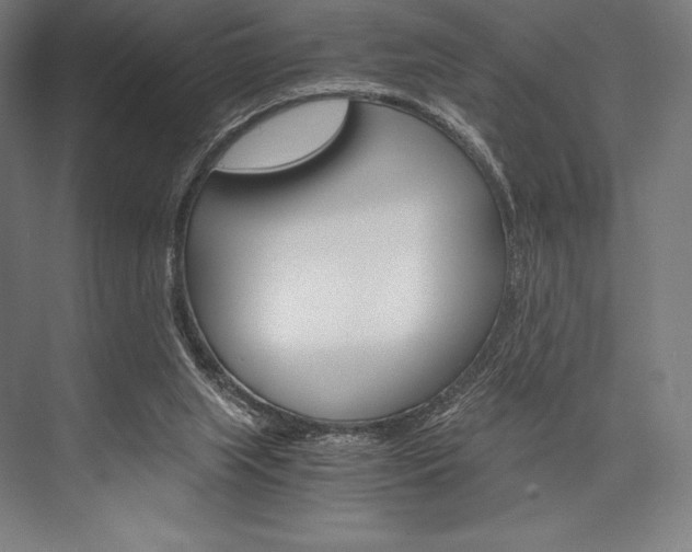 X0000076430063200610061010