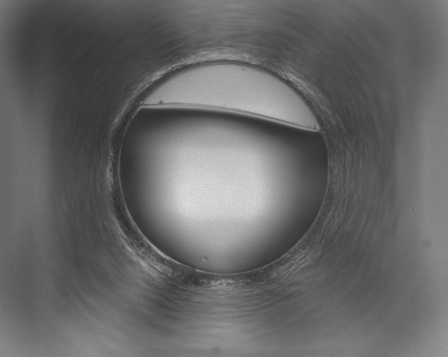 X0000076430064200610061010