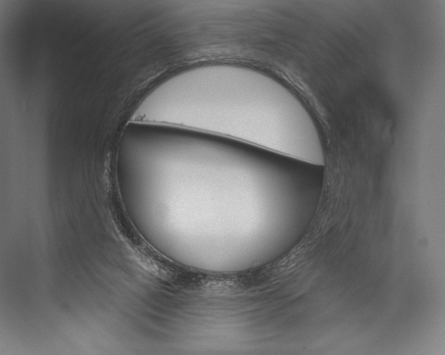 X0000076430066200610061010