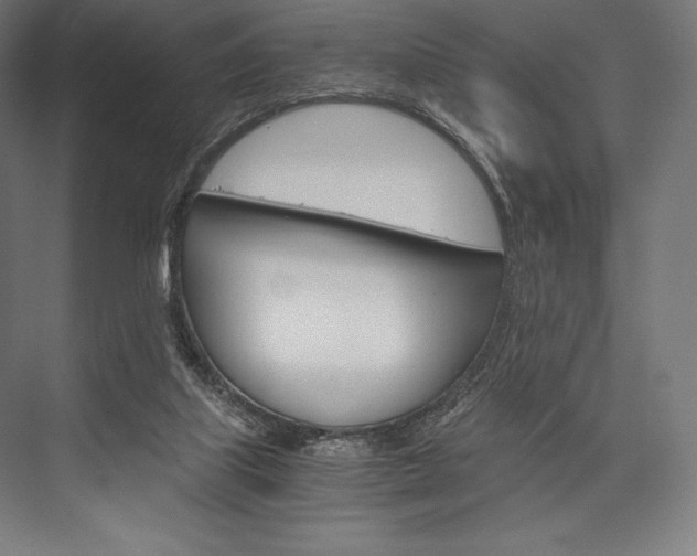 X0000076430067200610061010