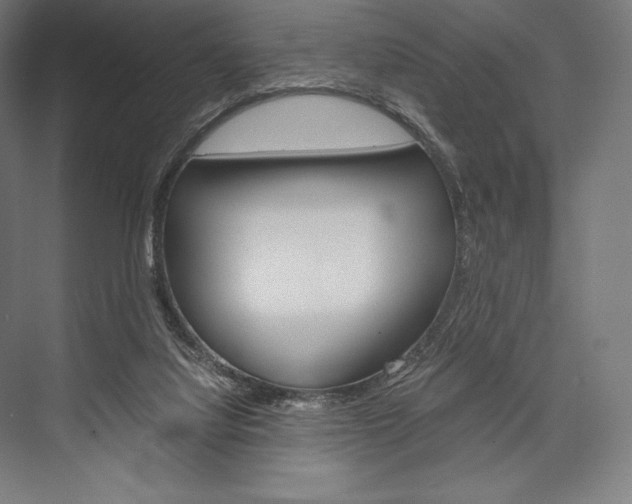 X0000076430068200610061010
