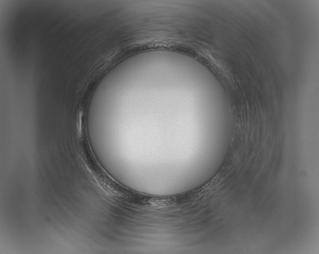 X0000076430070200610061010