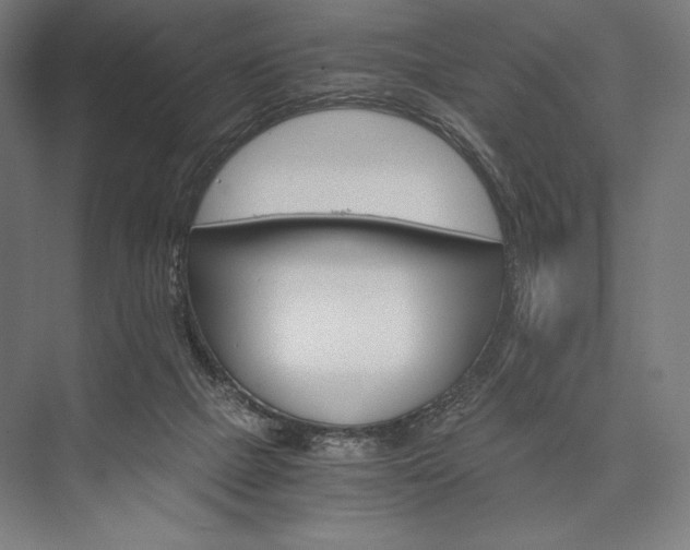 X0000076430073200610061010
