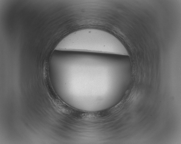 X0000076430074200610061010