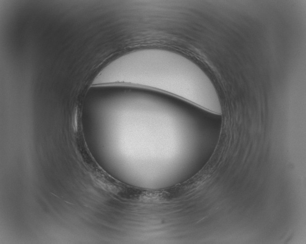 X0000076430076200610061010