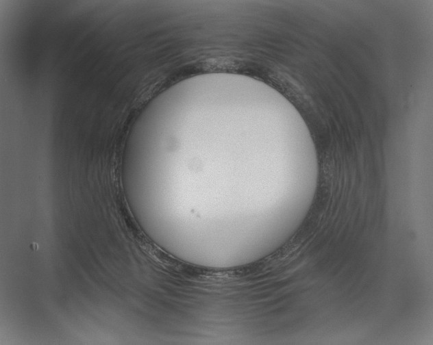 X0000076430079200610061010