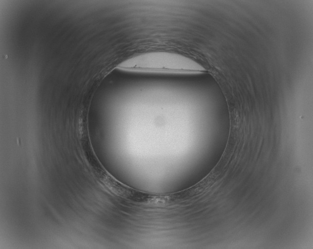 X0000076430080200610061010