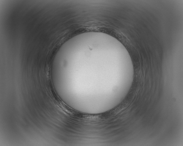 X0000076430081200610061010