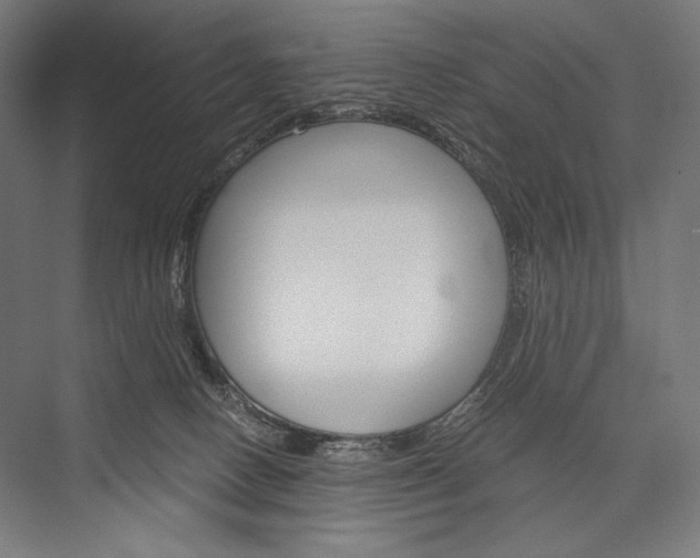 X0000076430082200610061010