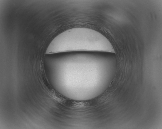 X0000076430083200610061010