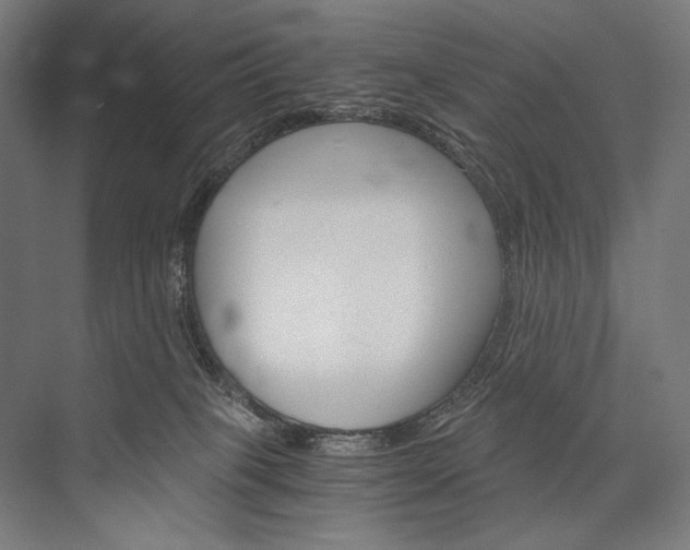 X0000076430085200610061010